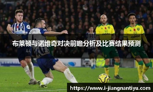 布莱顿与诺维奇对决前瞻分析及比赛结果预测